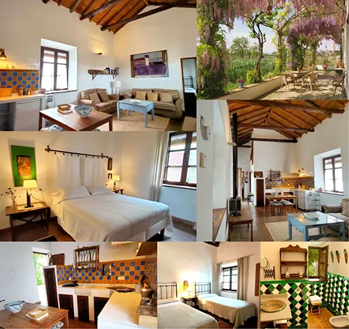 Proyecto - Cortijo del Pino